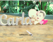 Regalos Personalizados